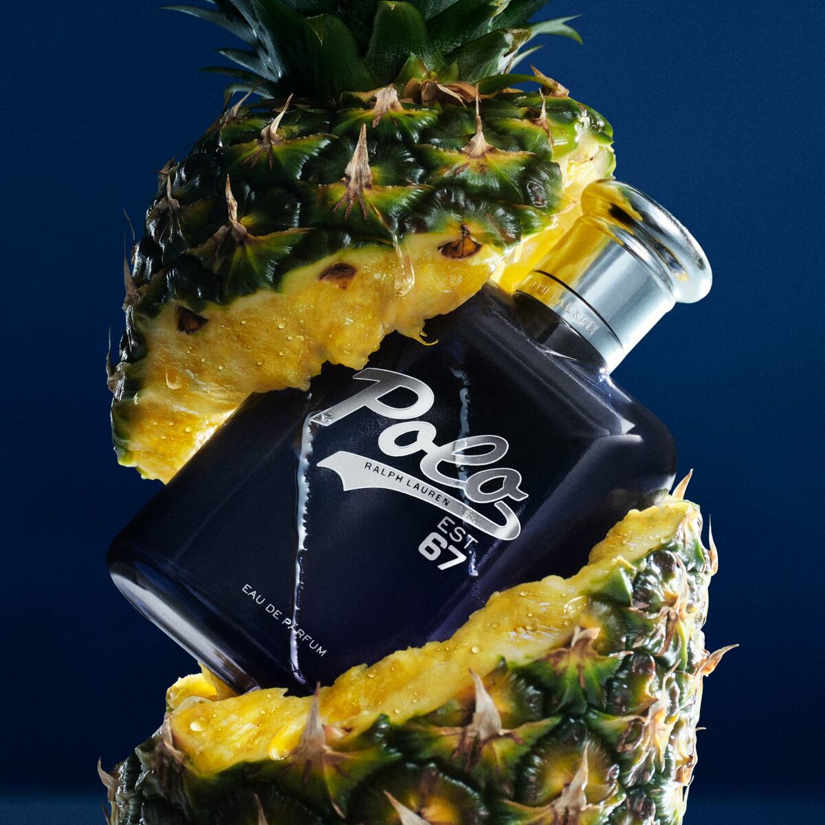 V4H5150FA59A3CEBDAA272703A03C864EFDR7196321P6