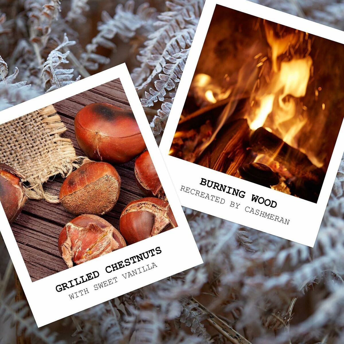 V3H713073F15294CC89A23C175ADAF40A2FR6012047P4