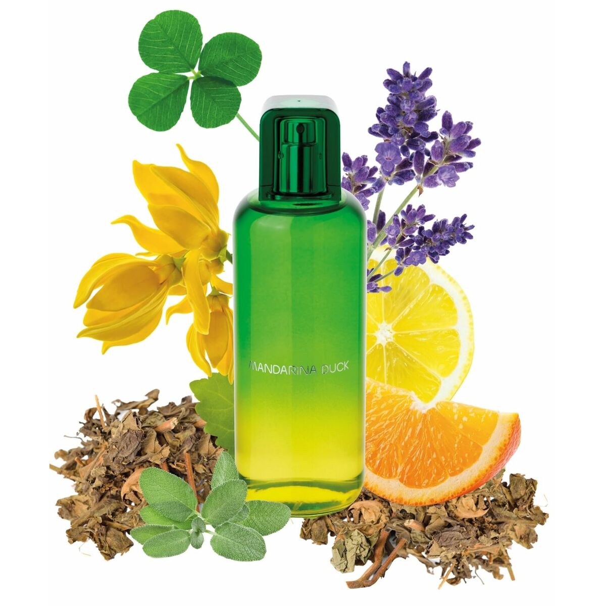 V4H1213695923BABBE8B55AA3E7C228E509R4668379P3